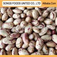 Buy light speckled kidney beans from china